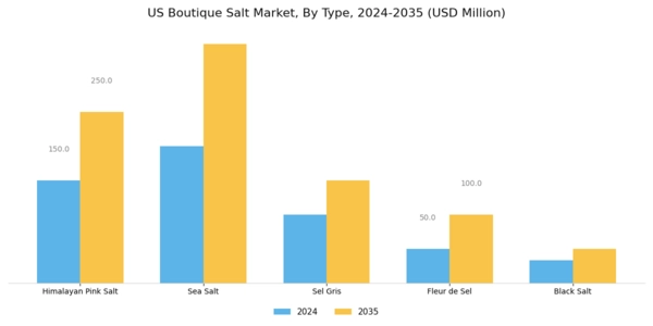 US Boutique salt Market Segment Image 0