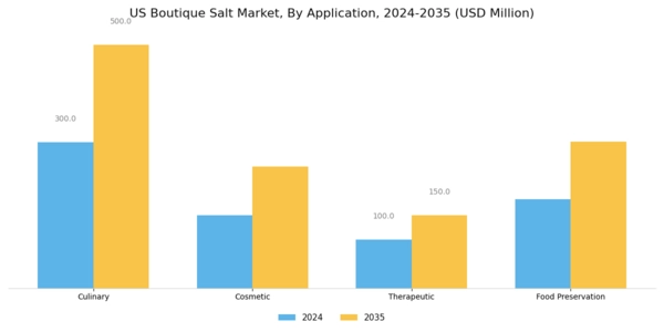US Boutique salt Market Segment Image 1