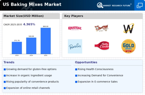US Baking Mixes Market Infographic