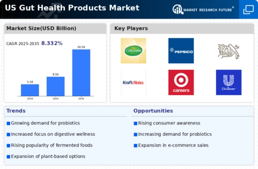 US Gut Health Products Market Infographic