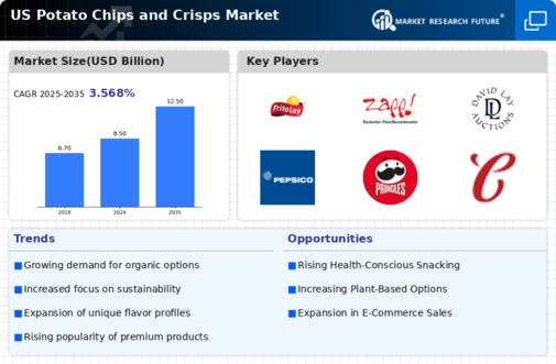 US Potato Chips and Crisps Market Infographic