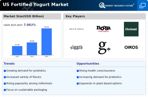 US Fortified Yogurt Market Infographic