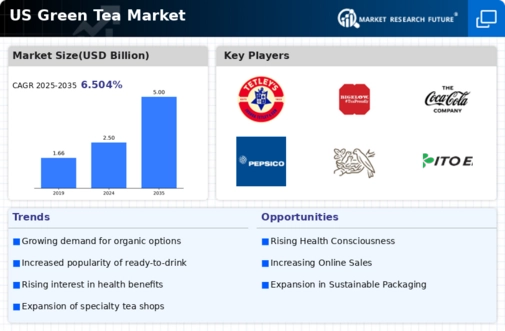 US Green Tea Market Infographic
