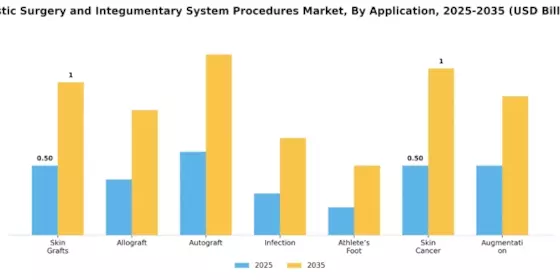 Plastic Surgery Integumentary System Market Segment Image 0
