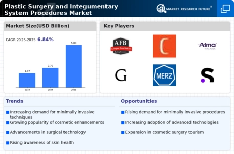 Plastic Surgery Integumentary System Market Infographic