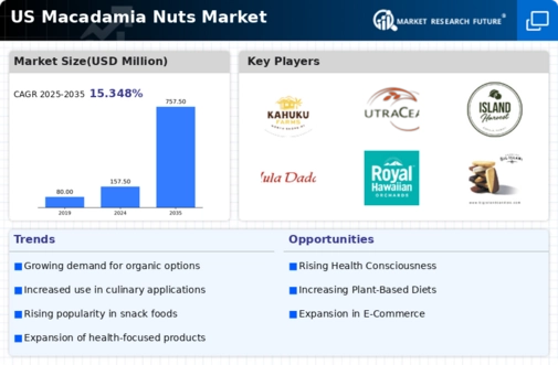US Macadamia Nuts Market Infographic