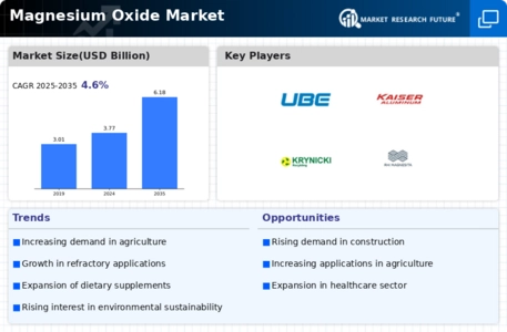 Magnesium Oxide Market Infographic