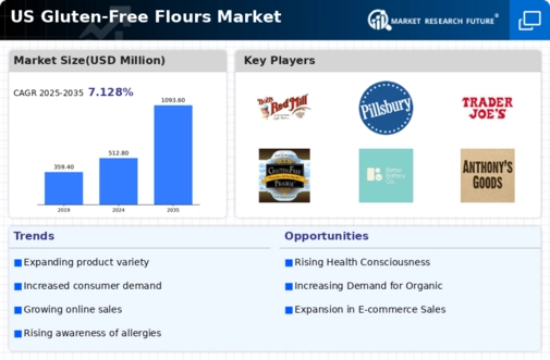 US Gluten-free flours Market Infographic