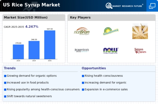 US Rice Syrup Market Infographic
