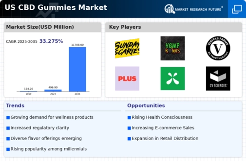 US CBD Gummies Market Infographic