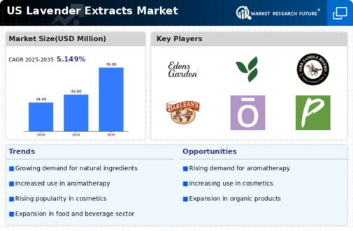 US Lavender Extracts Market Infographic