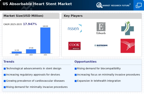 US Absorbable Heart Stent Market Infographic