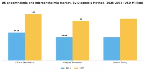 US Anophthalmia and Microphthalmia Market Segment Image 1