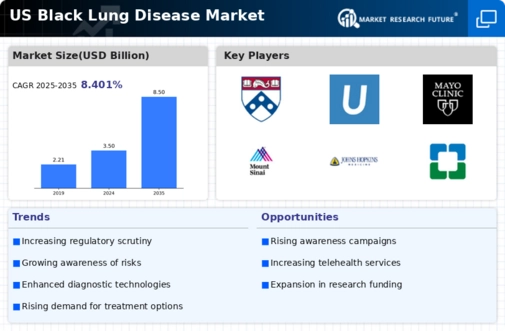US Black Lung Disease Market Infographic