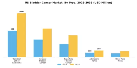 US Bladder Cancer Market Segment Image 3