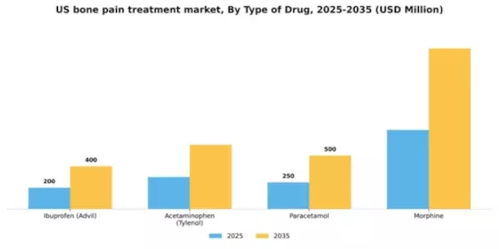 US Bone Pain Treatment Market Segment Image 1