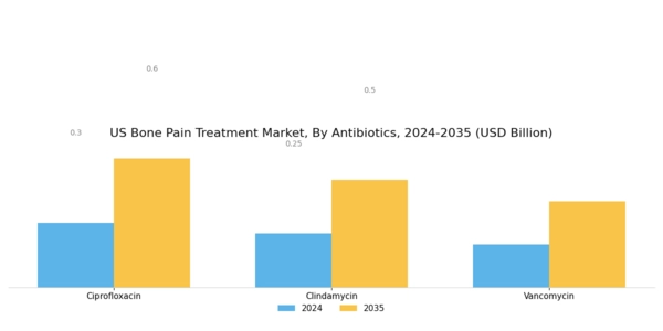 US Bone Pain Treatment Market Segment Image 1