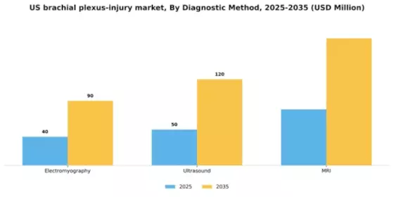 US Brachial Plexus Injury Market Segment Image 0