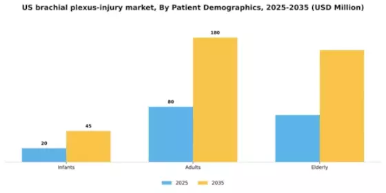 US Brachial Plexus Injury Market Segment Image 1