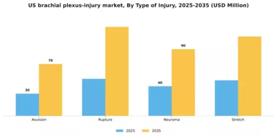 US Brachial Plexus Injury Market Segment Image 3