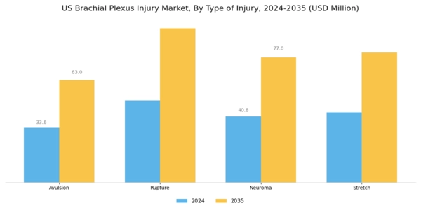 US Brachial Plexus Injury Market Segment Image 0