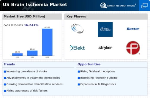 US Brain Ischemia Market Infographic