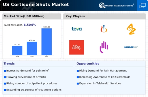 US Cortisone Shots Market Infographic