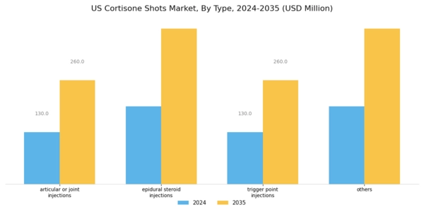 US Cortisone Shots Market Segment Image 0