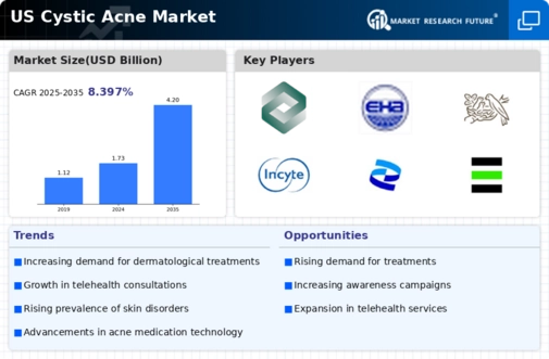 US Cystic Acne Market Infographic