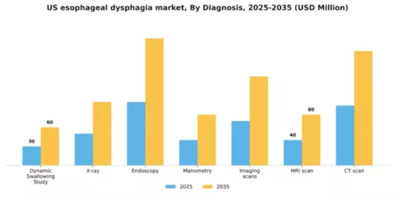 US Esophageal Dysphagia Market Segment Image 0