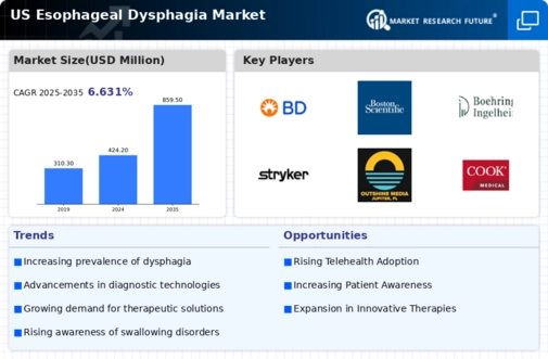 US Esophageal Dysphagia Market Infographic