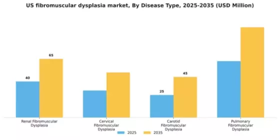 US Fibromuscular Dysplasia Market Segment Image 2
