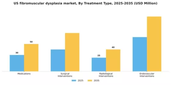 US Fibromuscular Dysplasia Market Segment Image 3