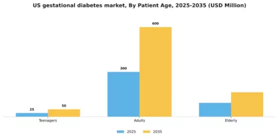 US Gestational Diabetes Market Segment Image 1