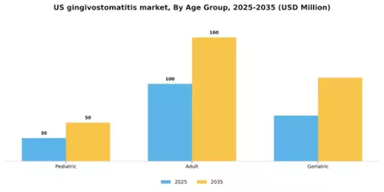 US Gingivostomatitis Market Segment Image 0