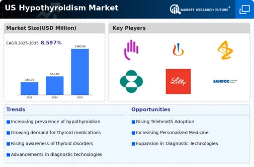 US Hypothyroidism Market Infographic