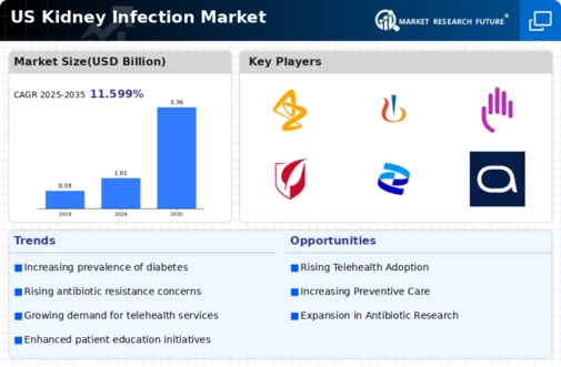 US Kidney Infection Market Infographic