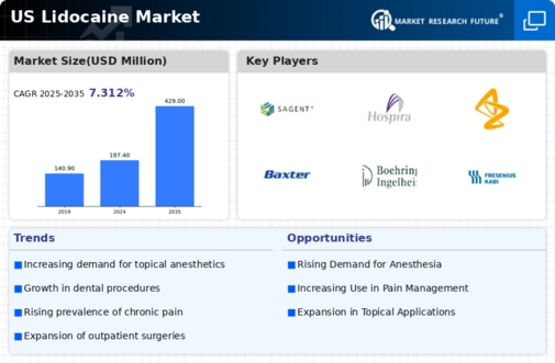 US Lidocaine Market Infographic
