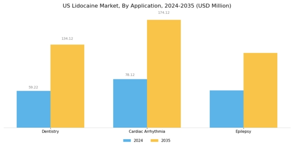 US Lidocaine Market Segment Image 1