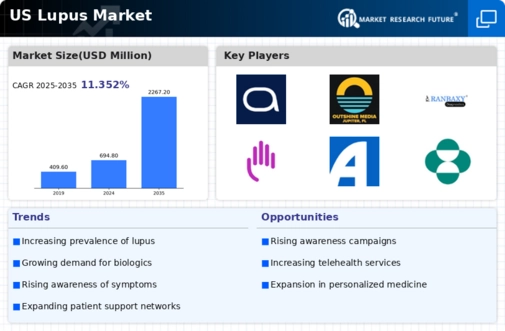 US Lupus Market Infographic