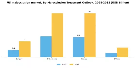 US Malocclusion Market Segment Image 2