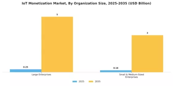 IoT Monetization Market Segment Image 1