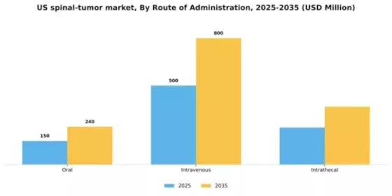 US Metastases Spinal Tumor Market Segment Image 2