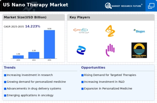 US Nano therapy Market Infographic