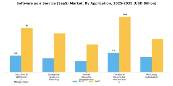 Software as a Service Market Segment Image 0