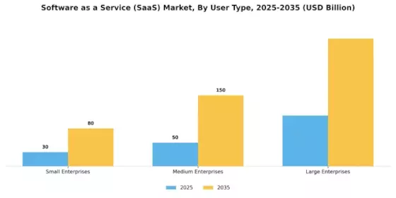 Software as a Service Market Segment Image 2