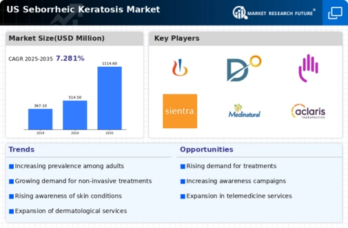 US Seborrheic Keratosis Market Infographic