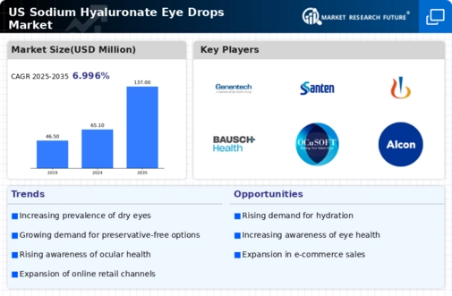 US Sodium Hyaluronate Eye Drops Market Infographic