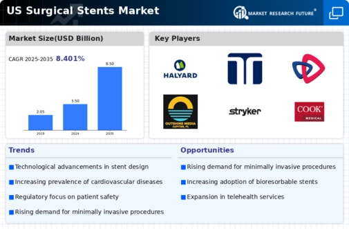 US Surgical Stents Market Infographic