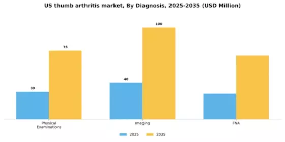 US Thumb Arthritis Market Segment Image 0